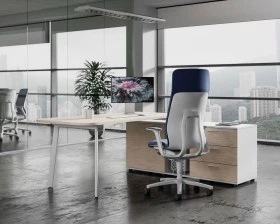 Кабинет руководителя Flex images