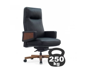 Кресло RV DESIGN Rafael (A2119) images