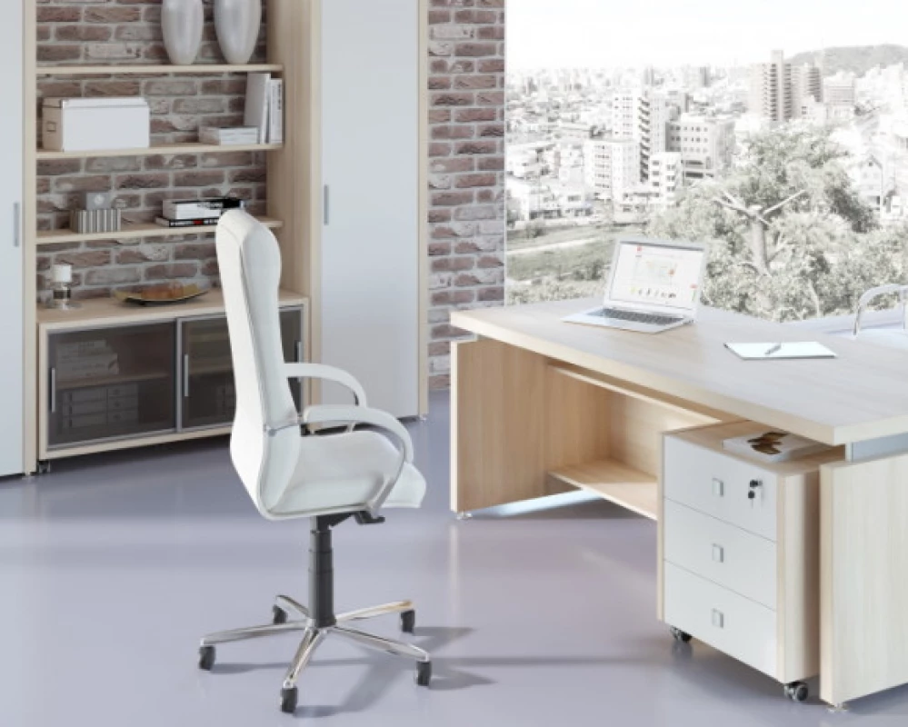 Кабинет руководителя Master (df)